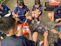 童軍團露營活動